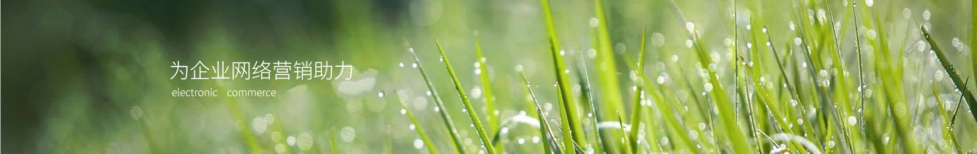 ϵִƼ޹˾